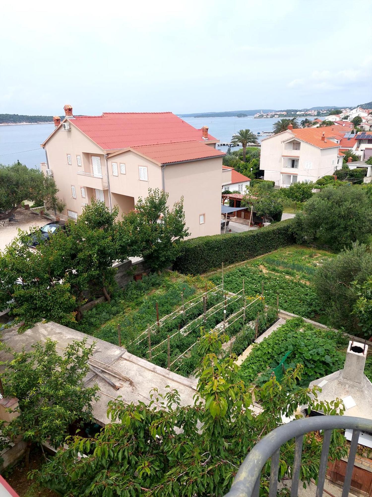 Apartment Olive House Rab Barbat na Rabu Bilik gambar